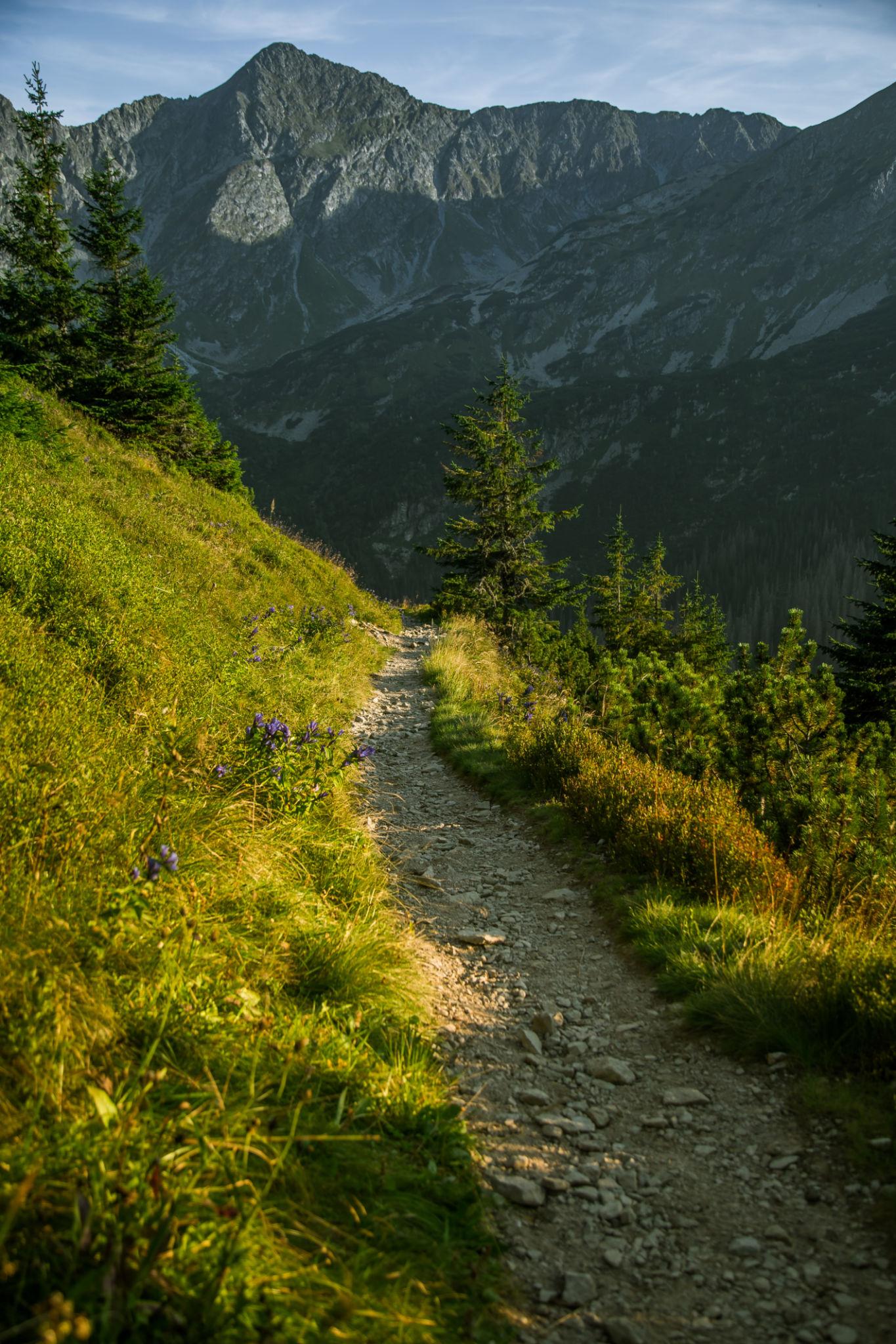 Vysoké Tatry 3